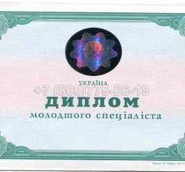 Диплом Техникума Украины 2002г в Ростове-на-Дону
