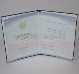 Диплом Колледжа 2022г Киржач в Ростове-на-Дону