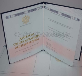 Диплом Аспирантуры 2024г в Ростове-на-Дону